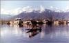 Dal Lake