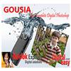 Gousia Travels