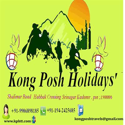 kong posh travels