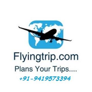 flyingtrip.com