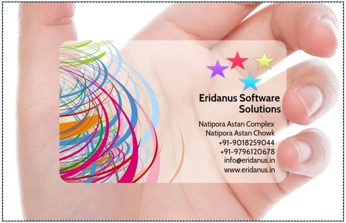 Eridanus Software Solutions